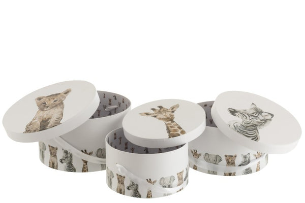 Aufbewahrungsboxen, Dekoboxen, Jungle, 3er Set