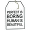 Schild "PERFECT IS BORING", Deko Element