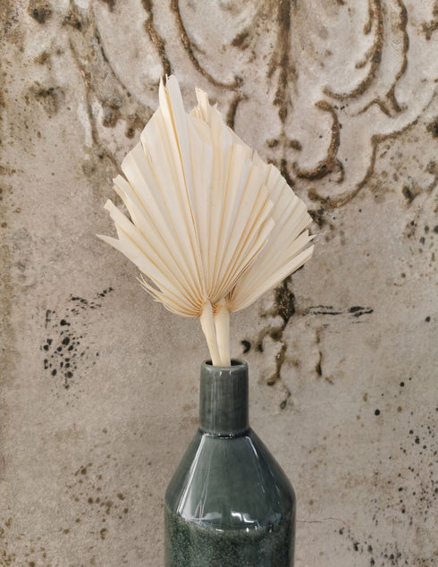 Palmspear natur, exotische Trockenblumen für Gestecke und Floristik, Boho DIY Dekoration, 4Stk. natur gebleicht ca.30-37cm