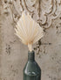 Palmspear natur, exotische Trockenblumen für Gestecke und Floristik, Boho DIY Dekoration, 4Stk. natur gebleicht ca.30-37cm